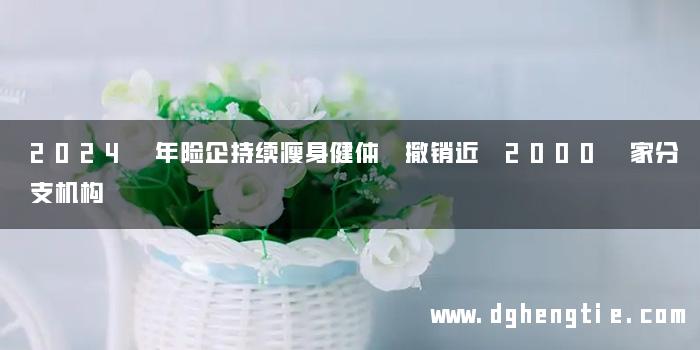 2024 年险企持续瘦身健体 撤销近 2000 家分支机构